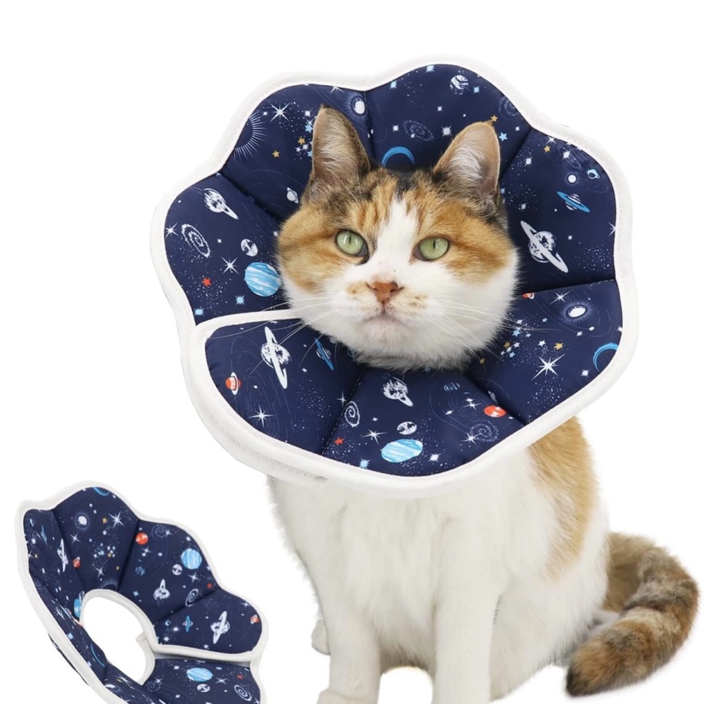 Cat cone - Picture 2 of 5